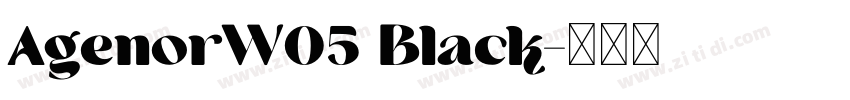 AgenorW05 Black字体转换